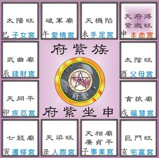 02府紫.jpg