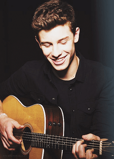 Shawn Mendes