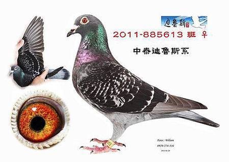 請輸入圖片標題
