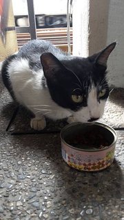 20150703_143403.jpg