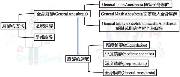 麻醉.jpg