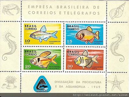 C1360_普通黃道蟹_Brazil_1969