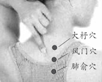 肺俞