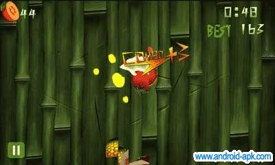 fruit-ninja-kaka.jpg