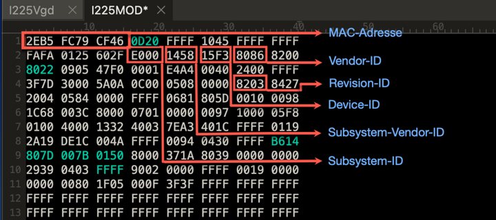 【黑蘋果】補完 Z490 VISION G 黑蘋果三號機 -