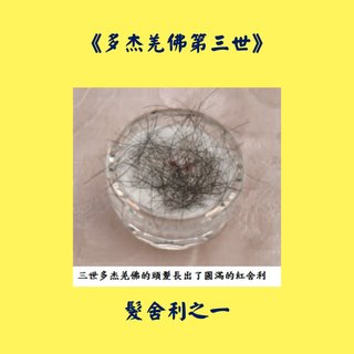 髮舍利之一 《多杰羌佛第三世》