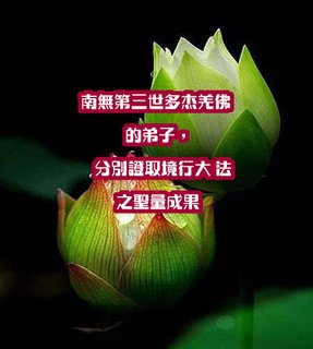 成就聖法如來藏