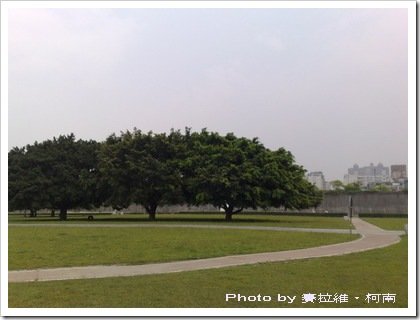 20080329884