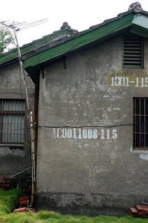 10150302754862817