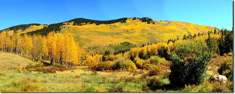 Fall colors, Kenosha Pass  (51)