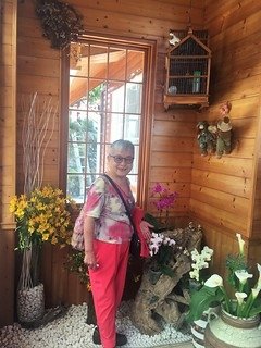 維也納  (10)