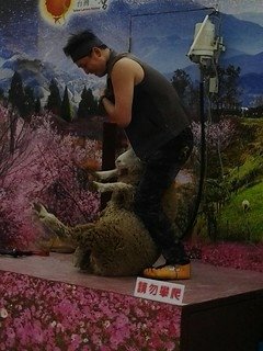 8442台中烏日花燈