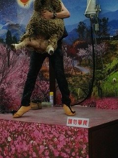 8458台中烏日花燈