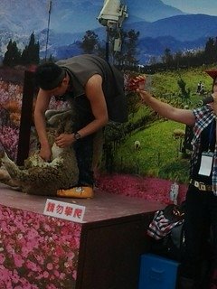 8435台中烏日花燈