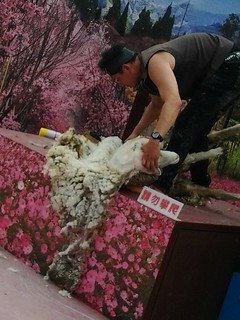 8434台中烏日花燈