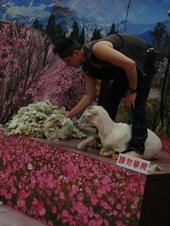 8431台中烏日花燈