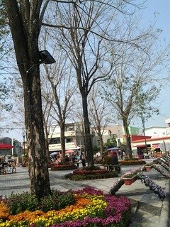 6927大溪