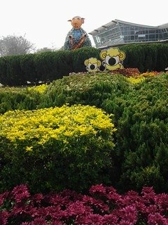 6931大溪