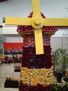 6934大溪