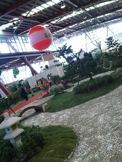 6942大溪
