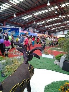 6952大溪