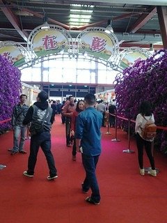 6953大溪