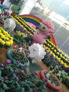 6951大溪
