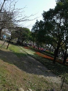 6960大溪