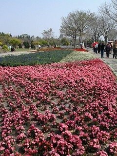 6961大溪