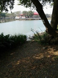 6969大溪