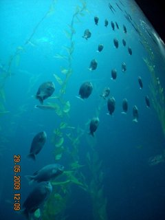 DSCN7394.JPG