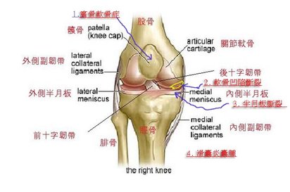 R knee.jpg