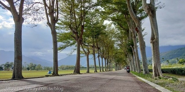 阿度的店自行車導覽行程