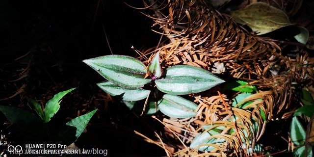IMG_20180516_092024