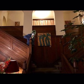 IMG_5087.JPG
