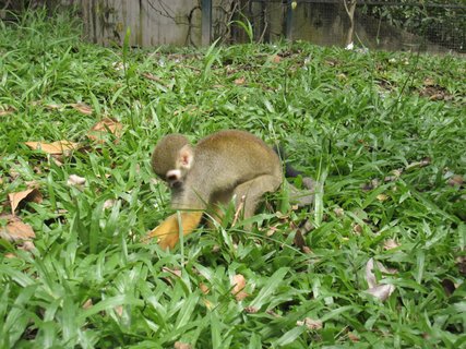 第四天_動物園