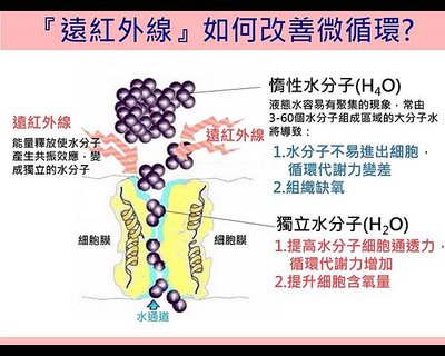 循環圖04.jpg