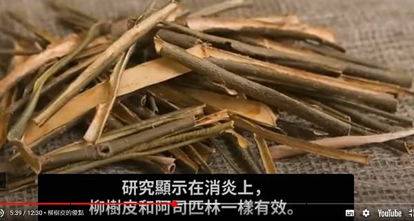 頭痛不用吃阿斯匹靈 先來喝杯柳樹皮茶吧！消炎止痛藥阿斯匹靈，