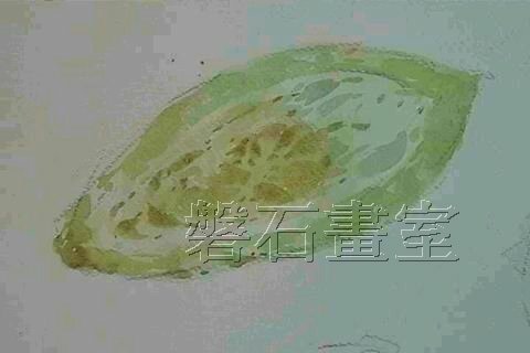 單一苦瓜切片 水彩教學示範
