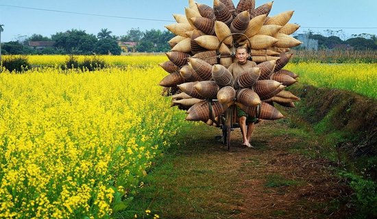 do-fishing-craft-vietnam-990x576