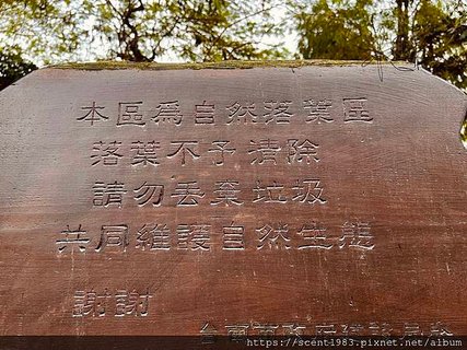 ＊【台南開箱】超酷的城市森林「巴克禮紀念公園」荒野公園，你我