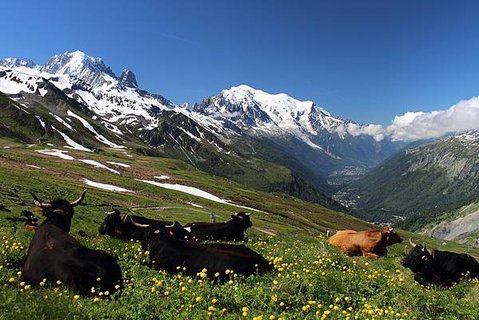 阿爾卑斯山風景2.jpg