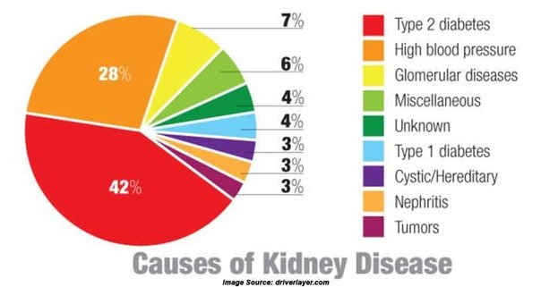 kidney-disease-causes.jpg