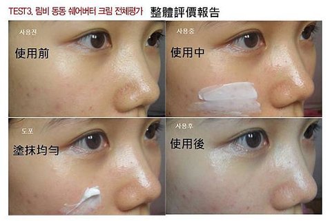 整體評價報告