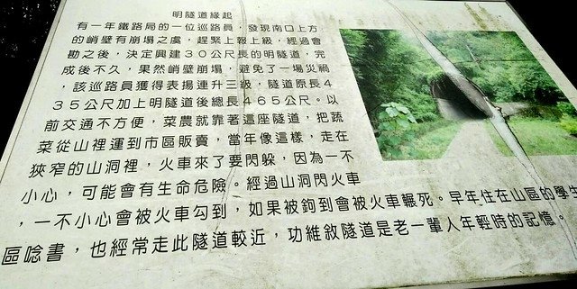 苗栗功維敘隧道 (5)