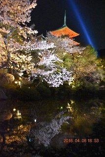 2016-04-06  京都清水寺夜櫻   245.JPG