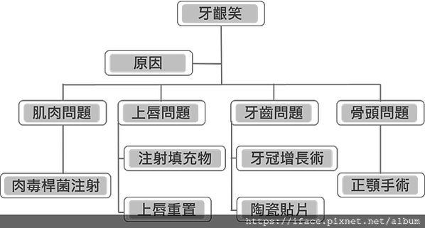 齒齦笑樹狀圖