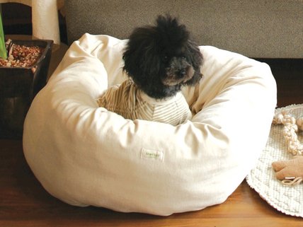狗床4