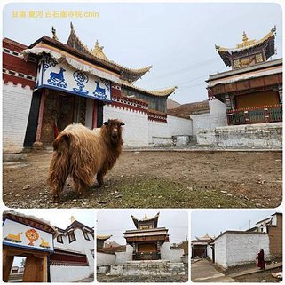 1120422青海 貴德-甘南 北溝台-夏河 甘加 白石崖寺院 拼圖(16).jpg