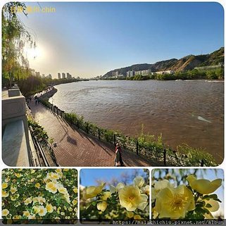 1120429青海 西寧-甘肅 蘭州 黃河風情線 拼圖(10).jpg